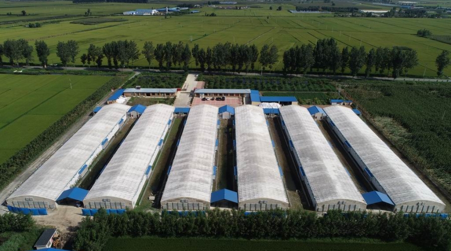 臺安匯君生物質能源有限公司